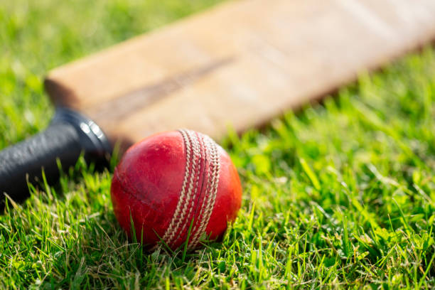 Cricket ball and cricket bat on green grass of cricket pitch